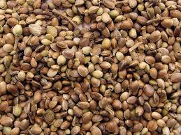 HEMP SEED TOPPINGS (1 KG BULK BAG)