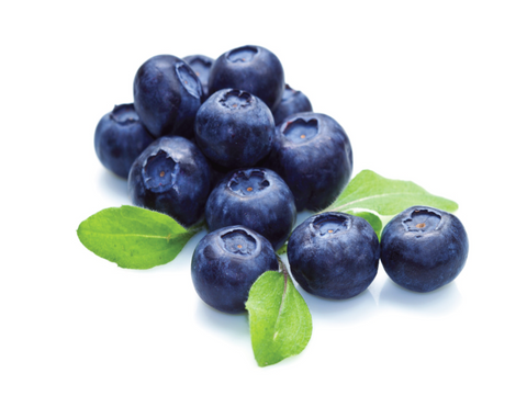 Blueberry Syrup (5 lbs bottle) for making Bubble Tea Drinks