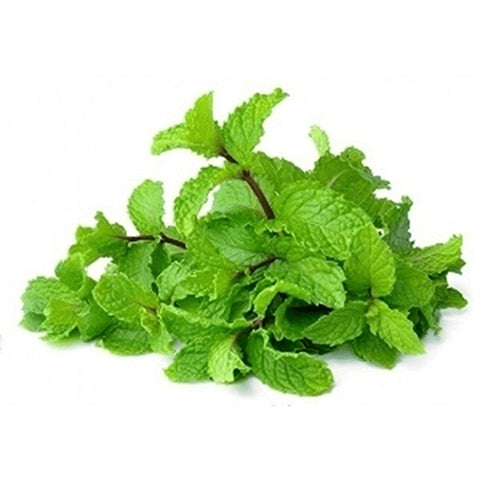 Mint Syrup (5 lbs bottle) for making Bubble Tea Drinks