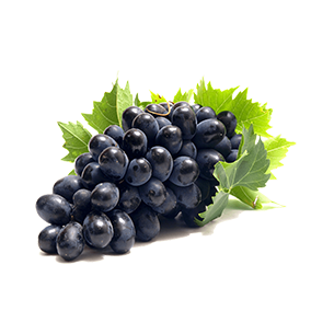 Grape Syrup (5 lbs bottle) for making Bubble Tea Drinks